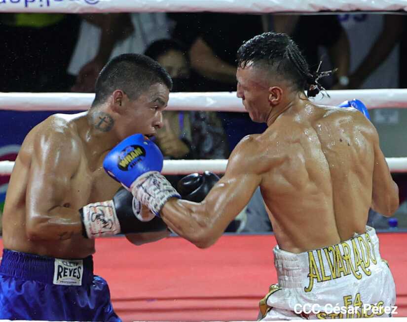 boxeo